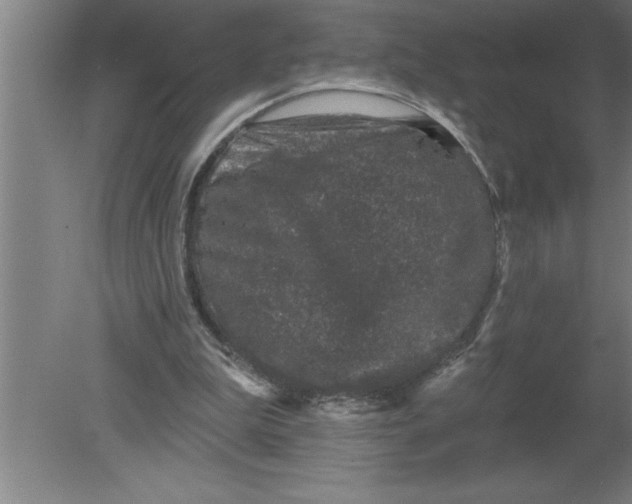 X0000080100199200612301926