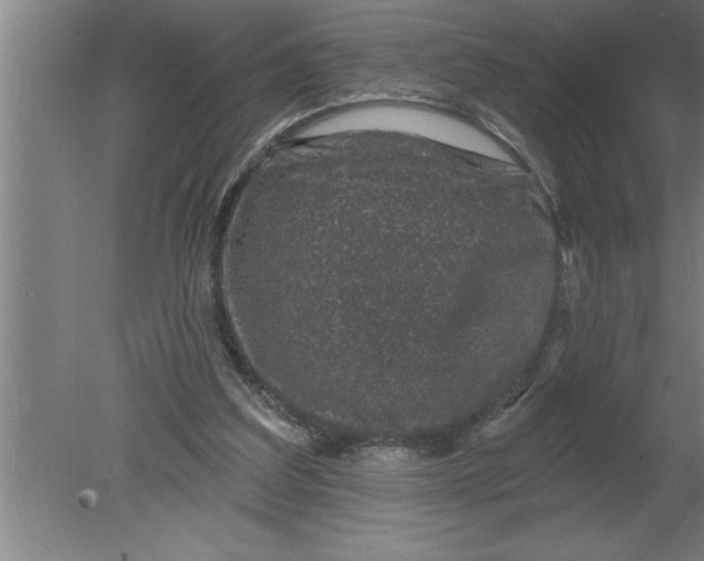 X0000080100203200612301926