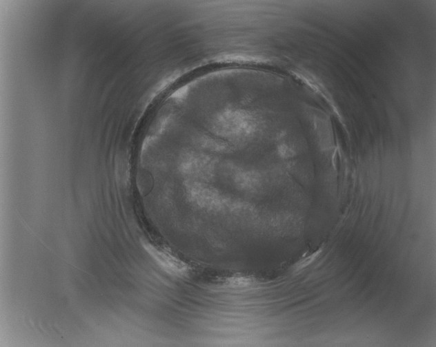 X0000080100204200612301926