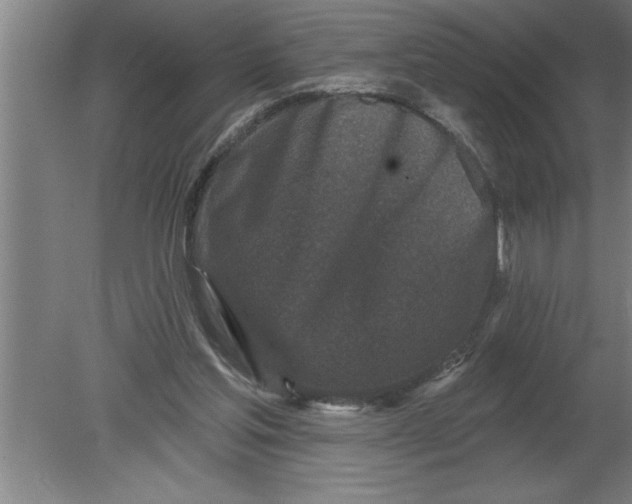 X0000080100205200612301926