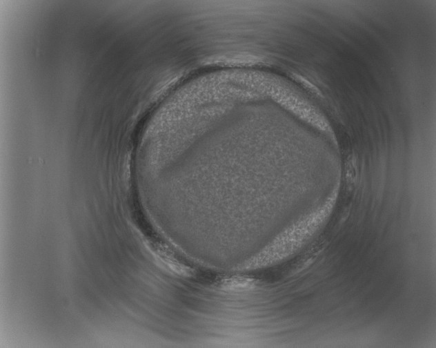 X0000080100206200612301926