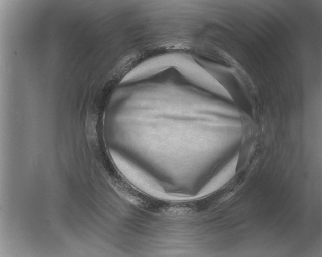 X0000080100209200612301926