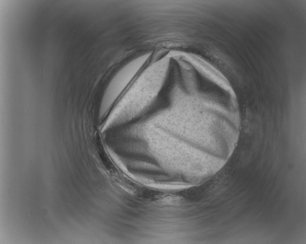 X0000080100210200612301926