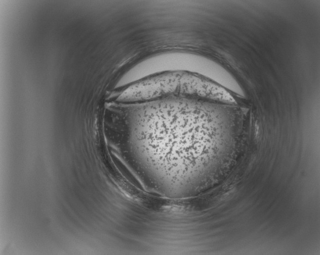 X0000080100211200612301926