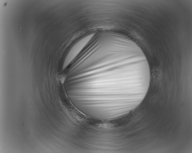 X0000080100212200612301926