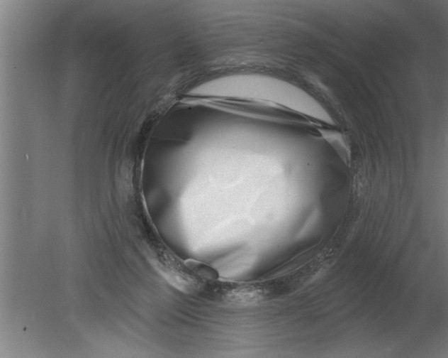 X0000080100213200612301926