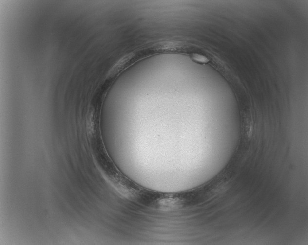 X0000080100216200612301926