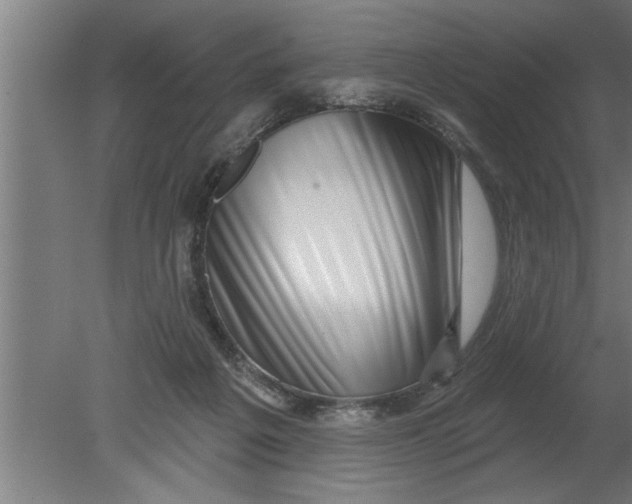 X0000080100217200612301926