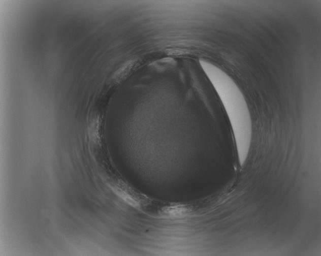 X0000080100219200612301926