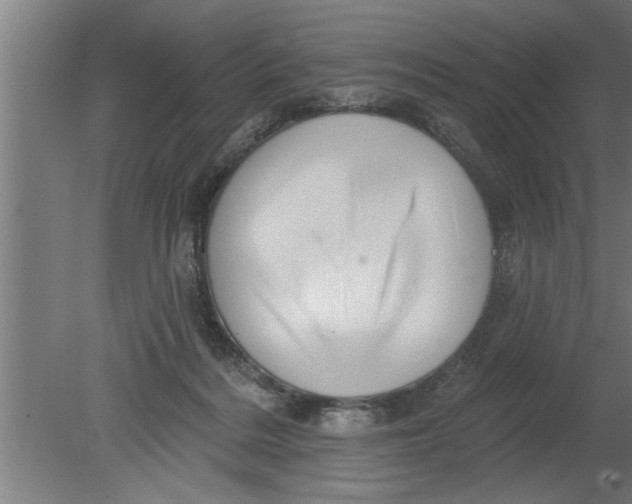 X0000080100220200612301926