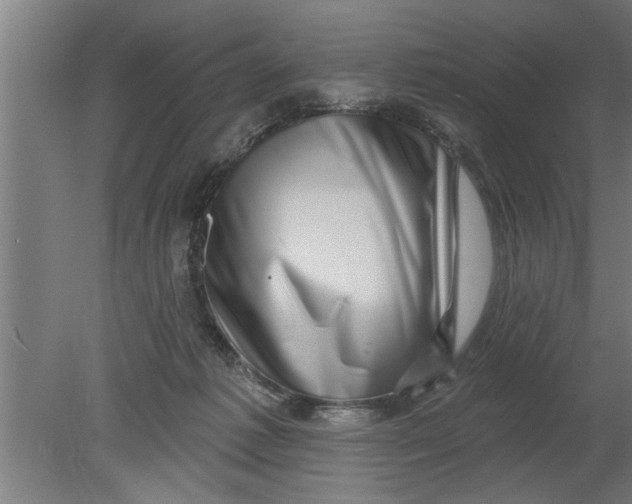 X0000080100221200612301926