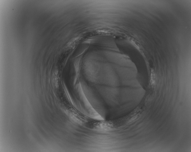 X0000080100223200612301926