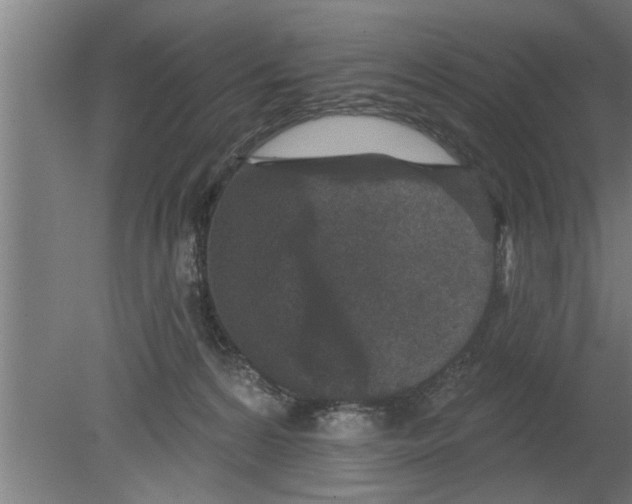 X0000080100224200612301926