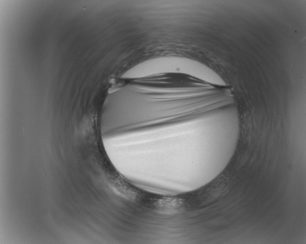 X0000080100225200612301926