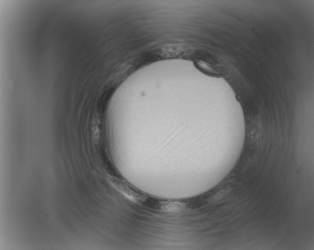 X0000080100226200612301926