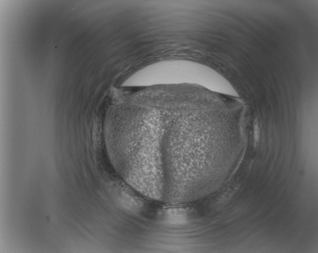 X0000080100228200612301926