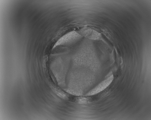 X0000080100229200612301926