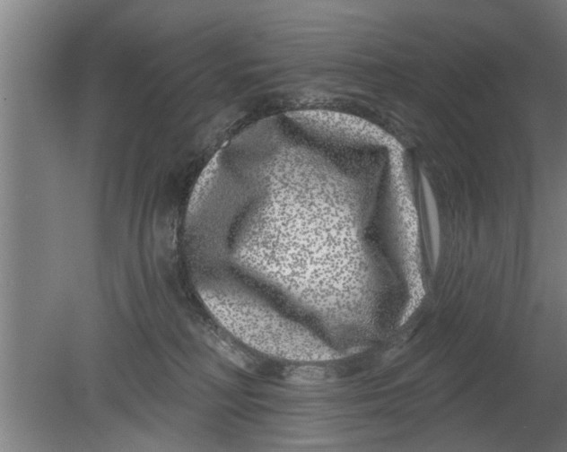 X0000080100230200612301926