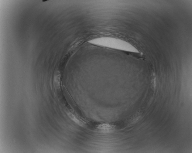 X0000080100231200612301926