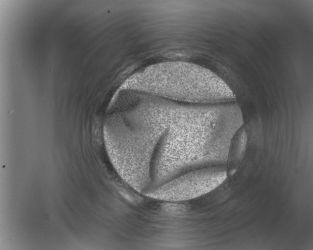 X0000080100234200612301926