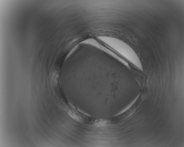 X0000080100235200612301926