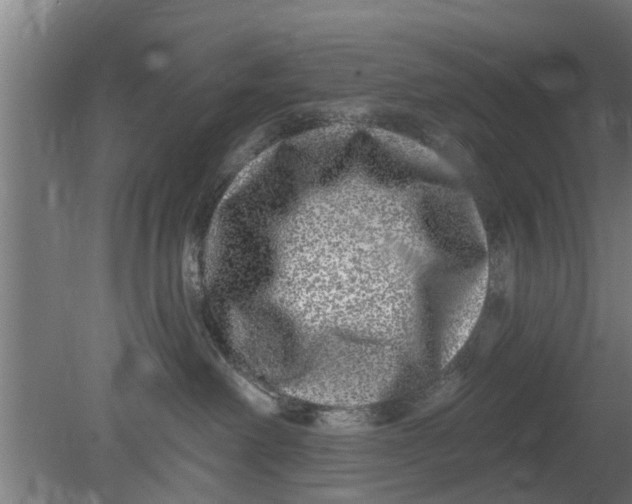 X0000080100238200612301926