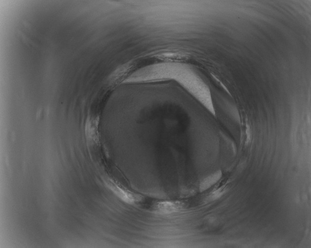 X0000080100239200612301926