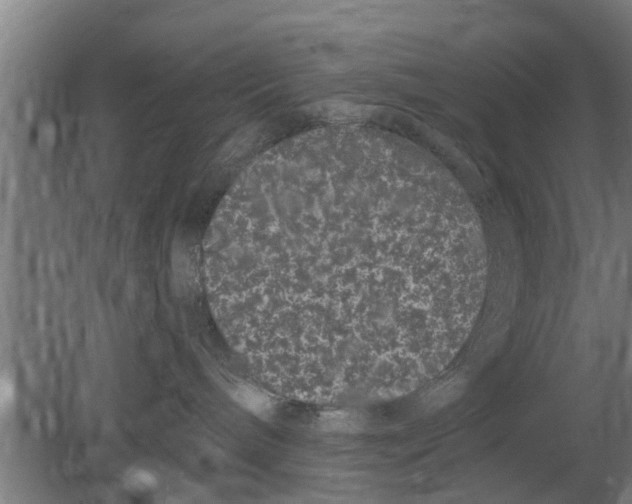 X0000080100240200612301926