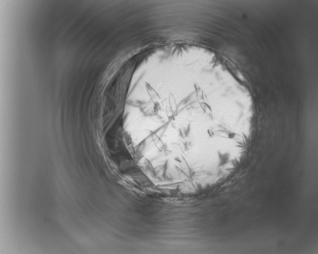 X0000080100241200612301925