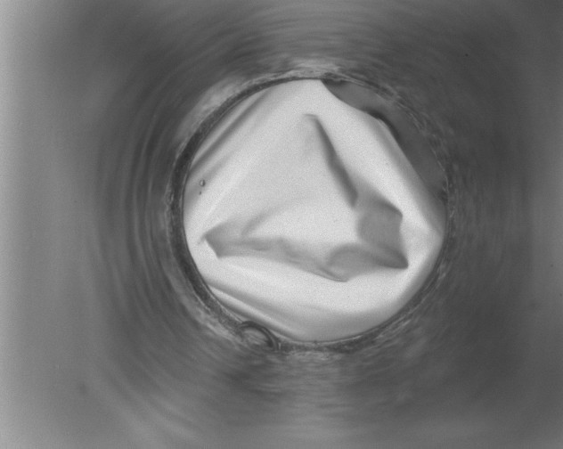 X0000080100242200612301925