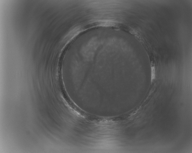 X0000080100243200612301925