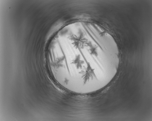 X0000080100245200612301925