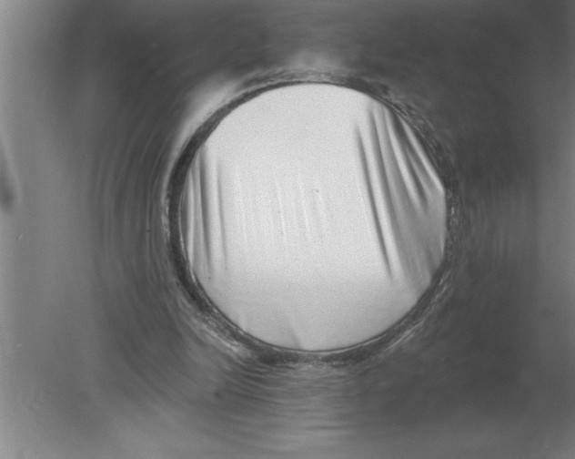 X0000080100246200612301925