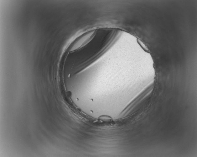 X0000080100248200612301925