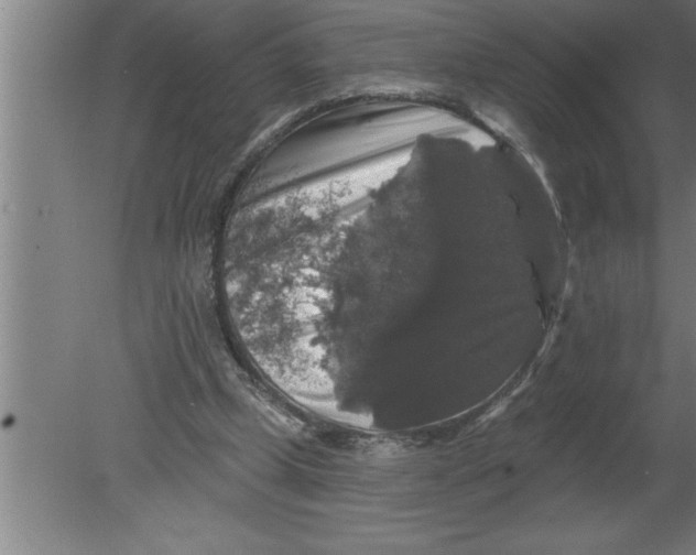 X0000080100249200612301925