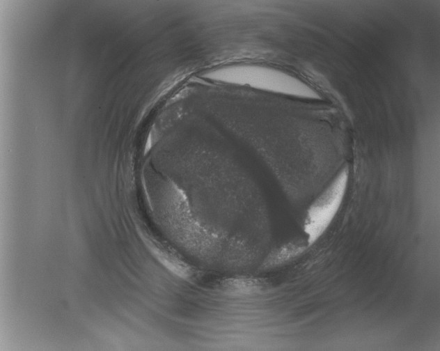 X0000080100250200612301925