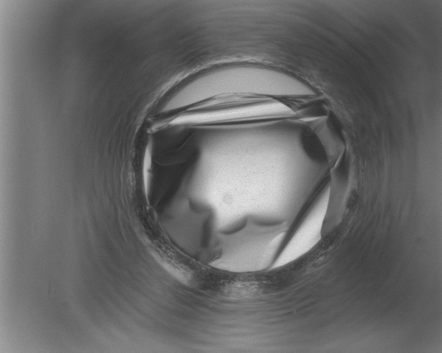 X0000080100252200612301925