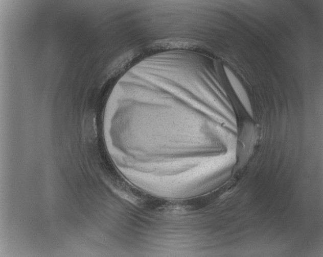 X0000080100254200612301925