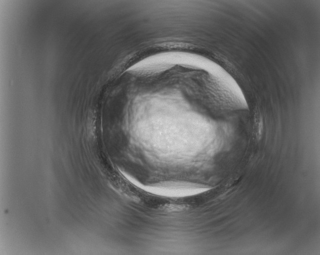 X0000080100255200612301925