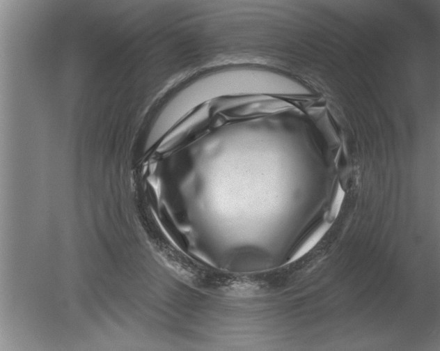 X0000080100256200612301925