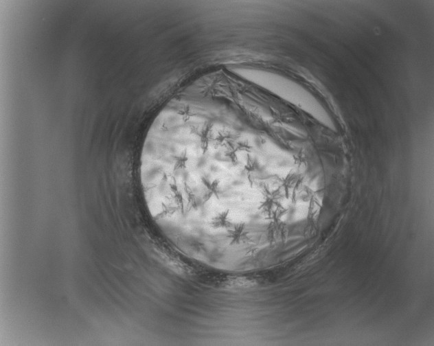 X0000080100257200612301925