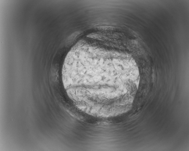 X0000080100259200612301925