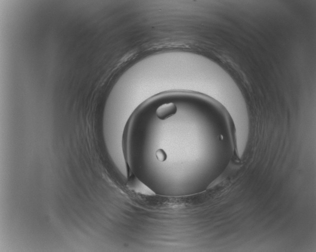 X0000080100260200612301925