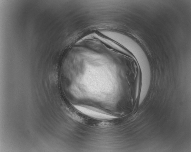 X0000080100261200612301925