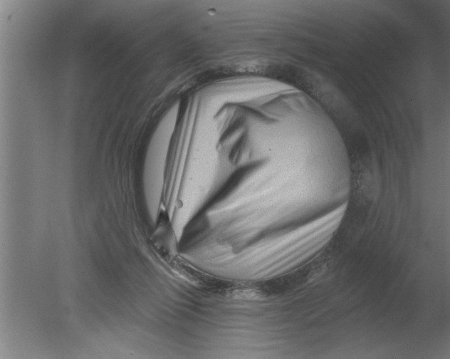 X0000080100262200612301925