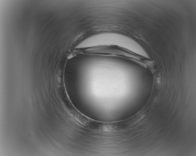 X0000080100264200612301925