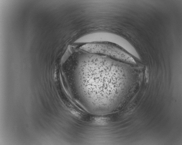 X0000080100268200612301925