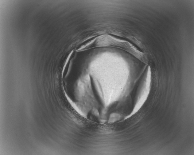 X0000080100269200612301925