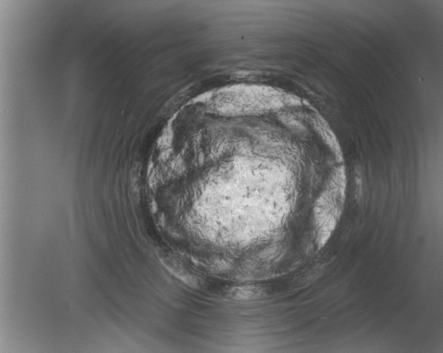 X0000080100275200612301925