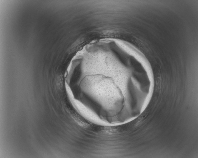 X0000080100278200612301926